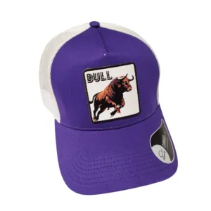 Cappellino Bull